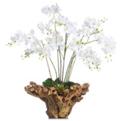 Orchids in Burl Wood Bowl